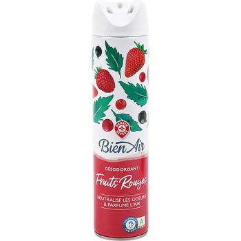 Désodorisant parfum fruits rouges - 300ml - BIEN AIR