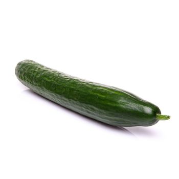 Concombre Bio le jardin de mon père