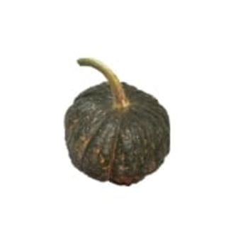 Comparez Courge shiatsu