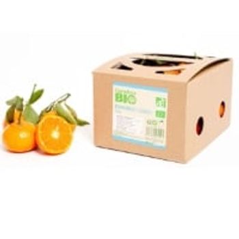 Comparez Mandarines à feuilles