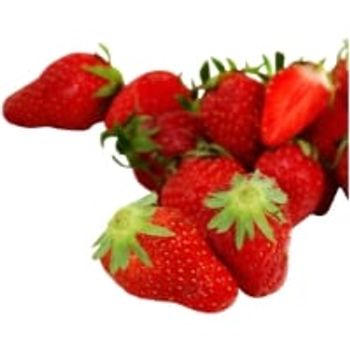 Comparez FRAISE ciflorette 250GR